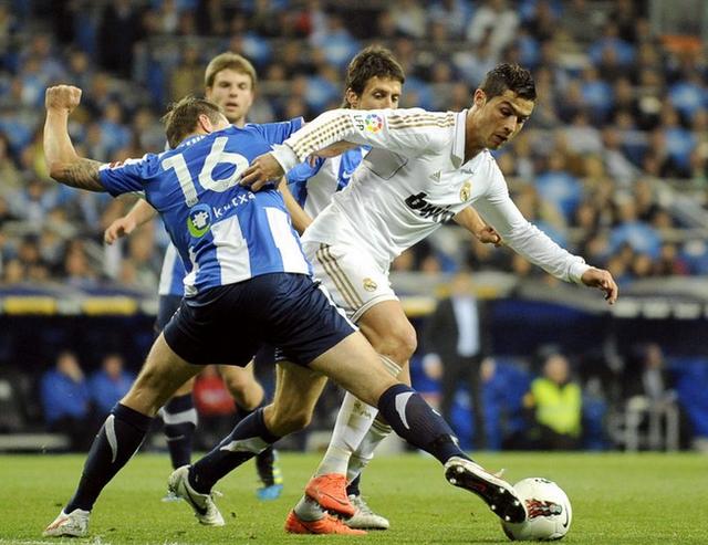 日处理60T动物油熬练生产线