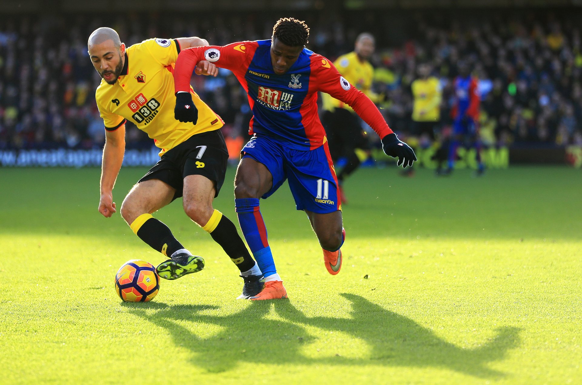 50吨植物油精炼设备