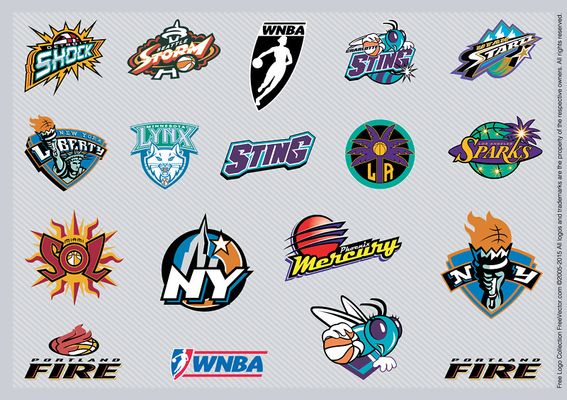 小规模的茶籽油生产线