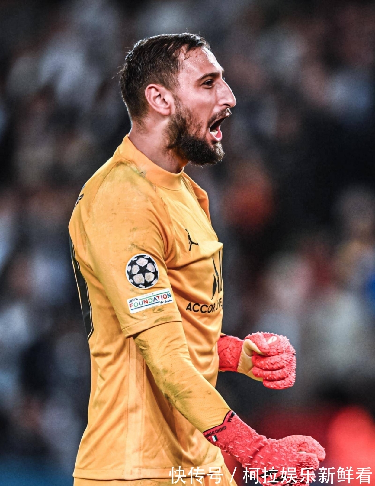 日处理60T动物油熬练生产线