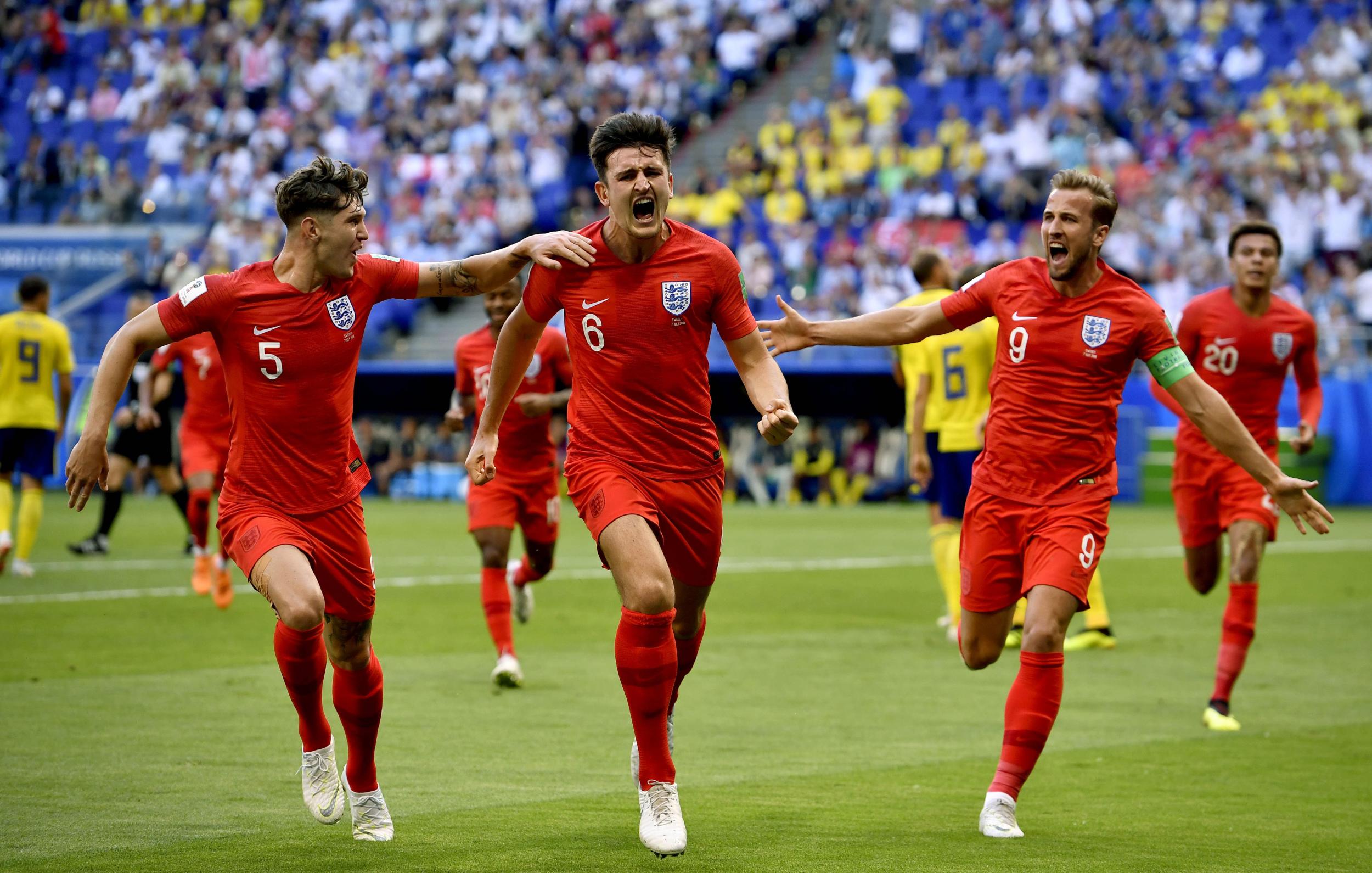 50吨植物油精炼设备